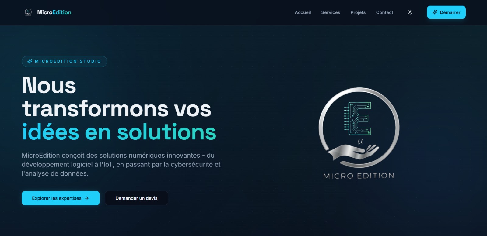Aperçu du projet Portfolio d'entreprise — MicroEdition